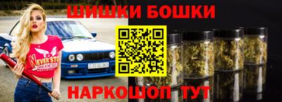 spice Кингисепп