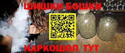 spice Кингисепп