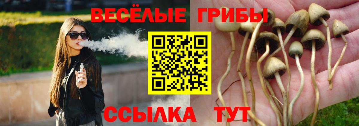 Галлюциногенные грибы MAGIC MUSHROOMS Курчатов