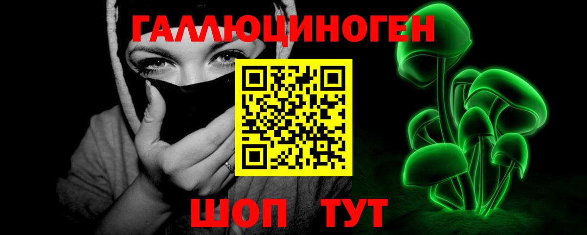 Псилоцибиновые грибы Cubensis  Вход с VPN  Курчатов 